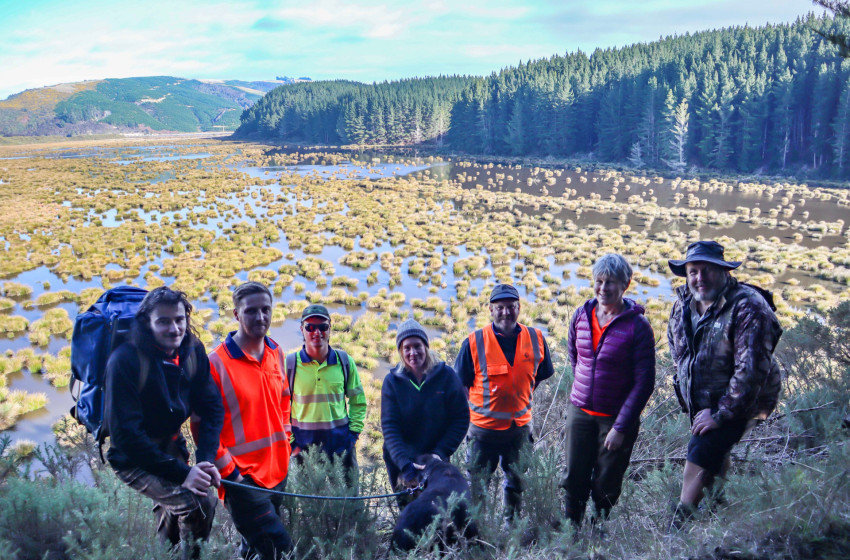 Walking tour showcases wetland values