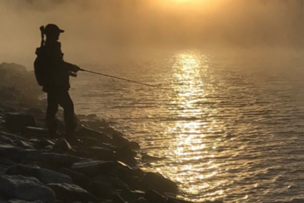 Fishing Licence 2425