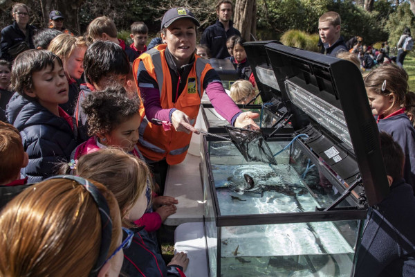 74d941f2 07c1 4011 8972 ebe3831cef31