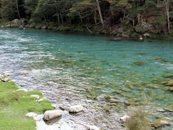 otago fisheries 1
