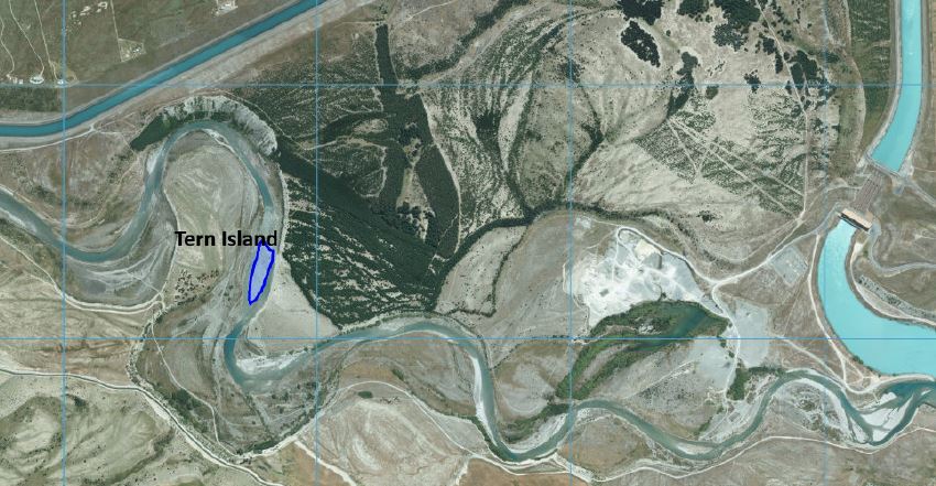 Tern Island2