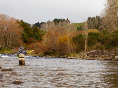 Beau Feature Pic2
