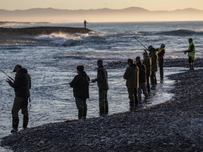 Salmon combat angling