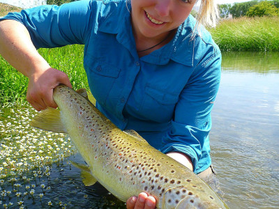 A great West Coast Brown trout