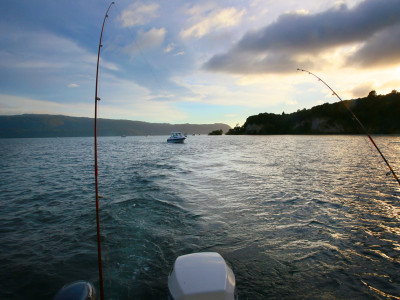 Trolling Lake Tarawera 02 wkt fish014