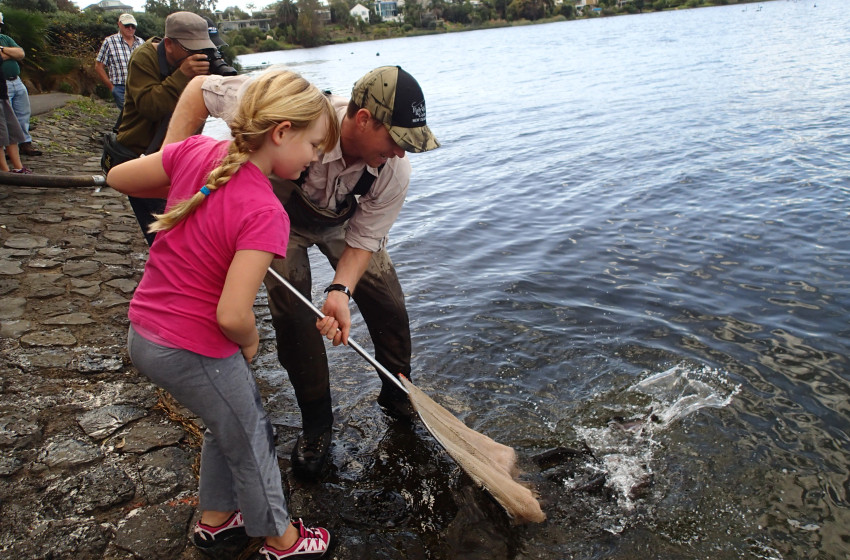 Auckland trout – a unique school holiday activity on offer