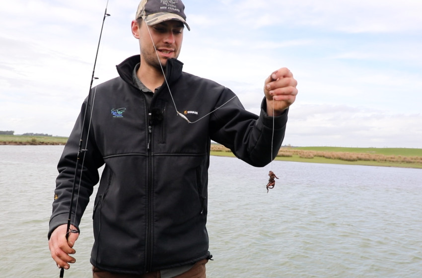 Bait Fishing Basics