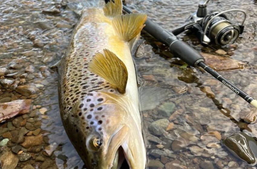 Central South Island Soft Bait Clinic 2025 - Free