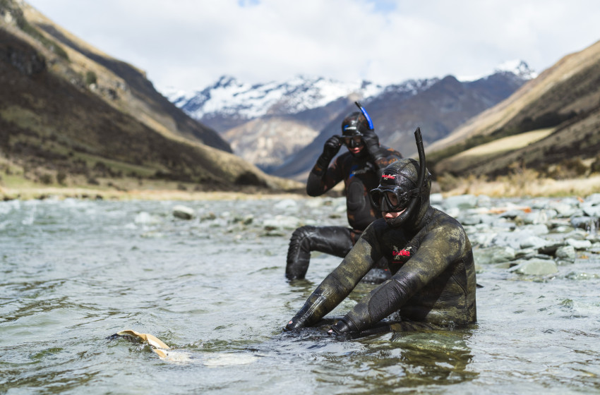 Crystal-clear waters yield valuable fish data