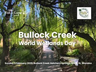 250114 World Wetlands Day website image v2