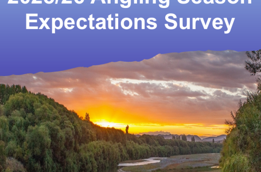 Hawke's Bay Anglers Season Expectation Survey Results