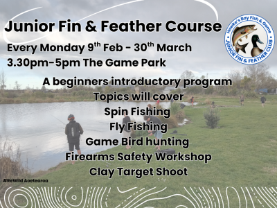 Junior Fin & Feather Course Website (1)