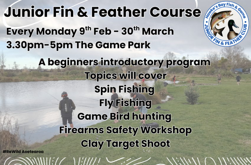 Hawke's Bay Junior Fin & Feather Course 