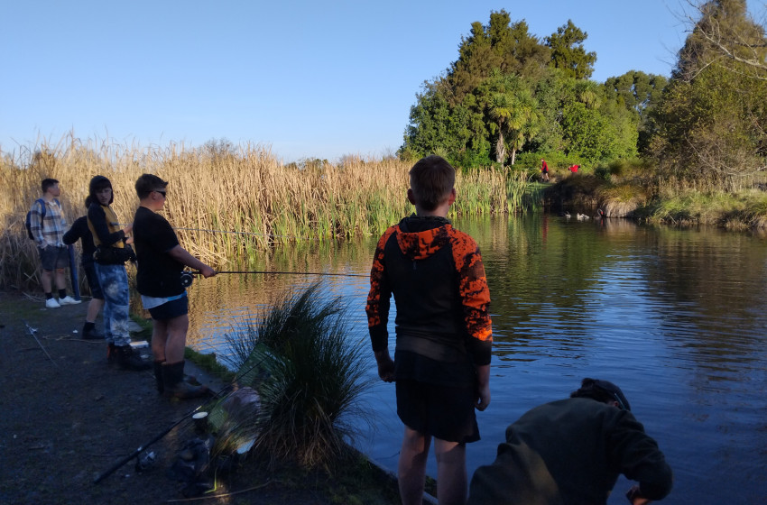 Junior Fin & Feather Club - Term 4 Changes