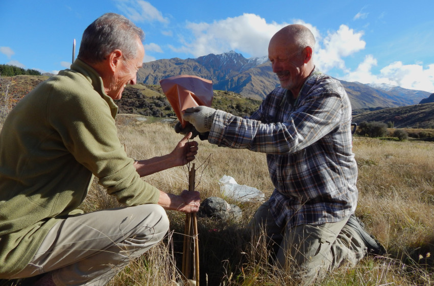 Native restoration project reels in anglers for help