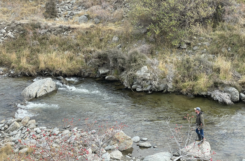 New modelling sheds light on trout spawning