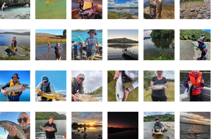 Photo Competition