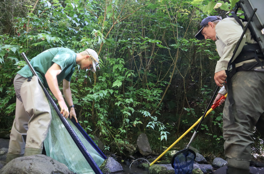 River research is a net gain for students and urban fishery 