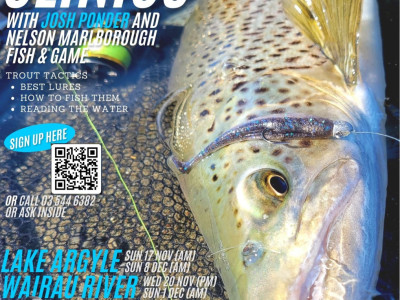 Soft bait clinics