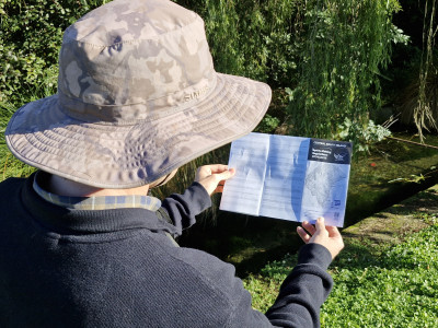 Regulation review image