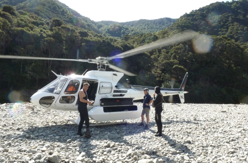 Reel Life April 2025 - Hawke's bay
