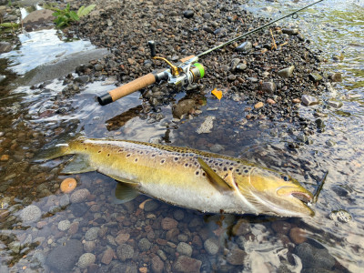 1. Success on the Manganui River   Credit Nik Hannam