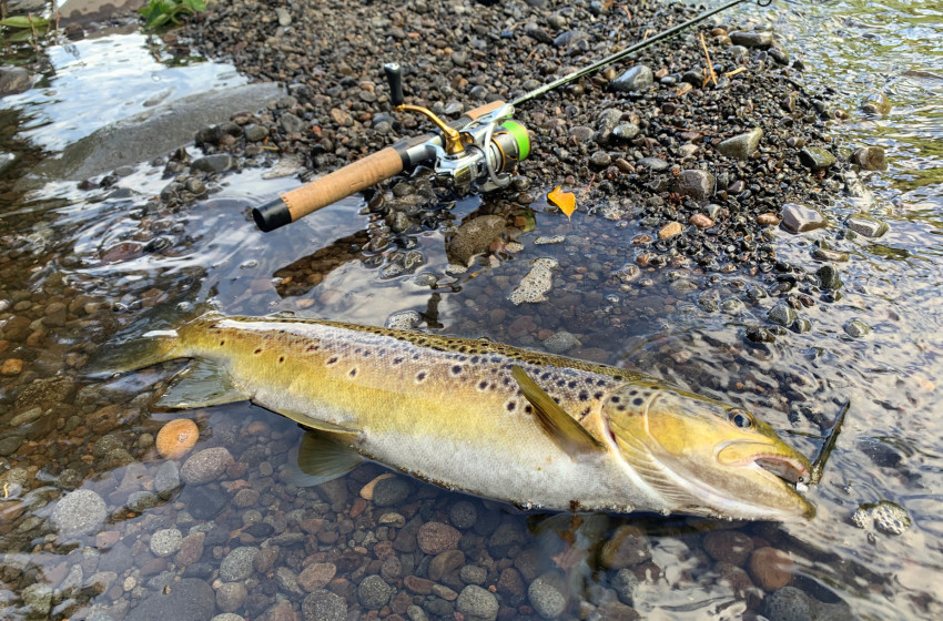 Reel Life April 2025 - Taranaki