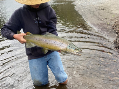 A sensational late season Hutt River brown trout