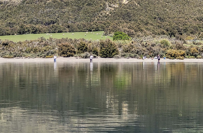 Reel Life December 2023