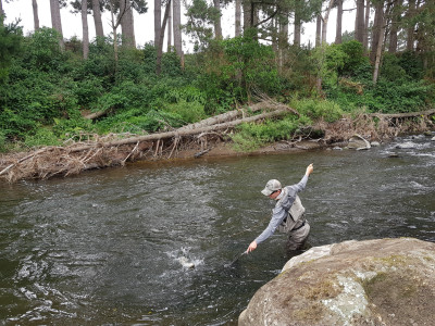 TRL1Dec23. Summer angling in the Waingongoro River on the south Taranaki ringplain