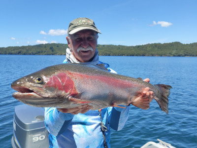 Image 1 Roger Bowden Okataina