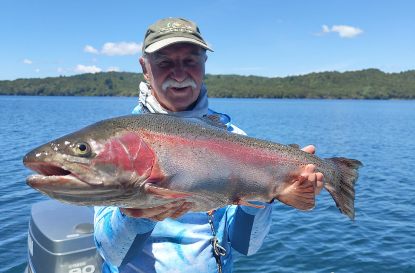 Reel Life December 2024 - Eastern