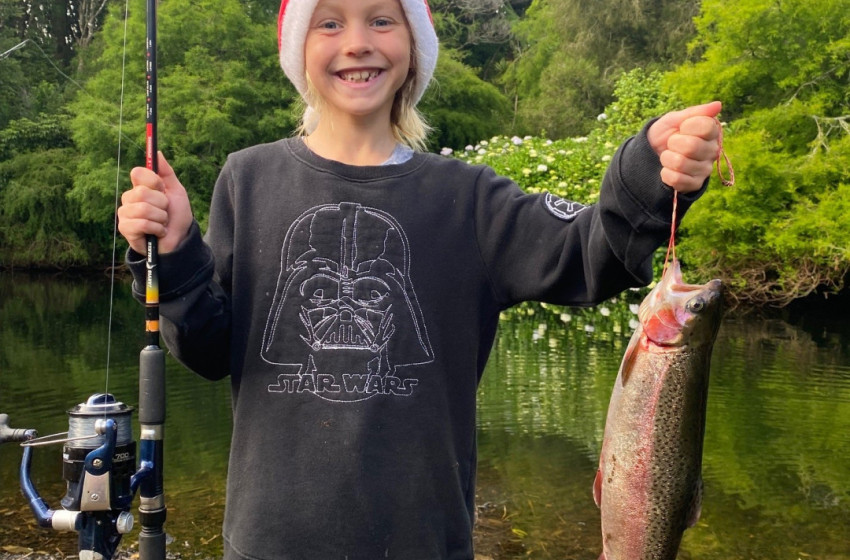 Reel Life December 2024 - Taranaki