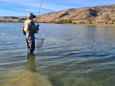 RLcsiFeb24 Allan Davidson of the South Canterbury Anglers Club gets ready to net a Lake Waitake trout Photo by Allan Gillespie 