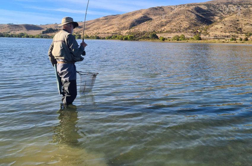 Reel Life February 2024 - Central South Island