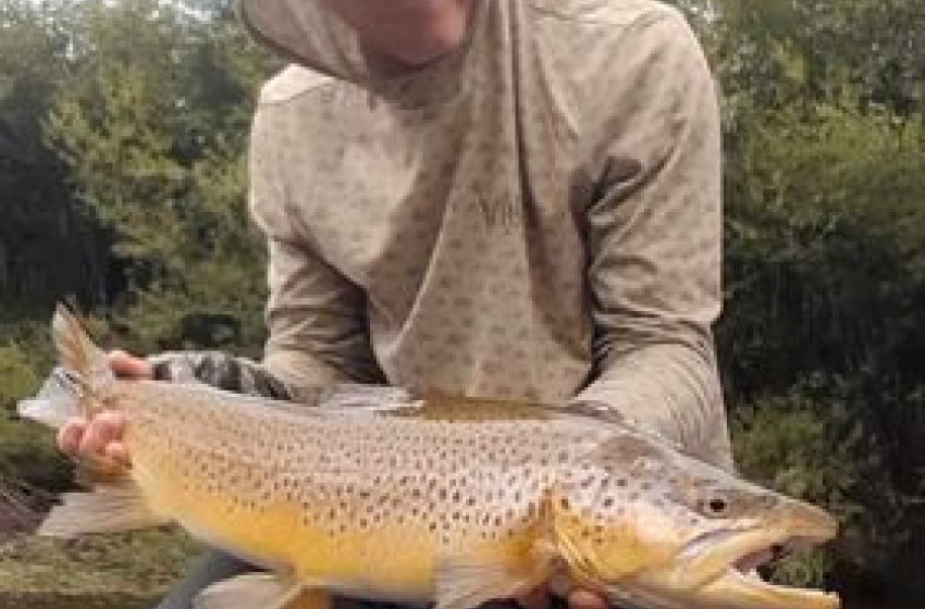 Reel Life February 2024 - Hawkes Bay