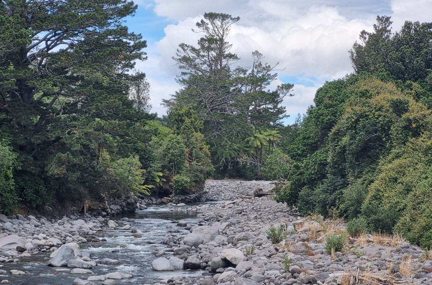 Reel Life February 2025 - Taranaki