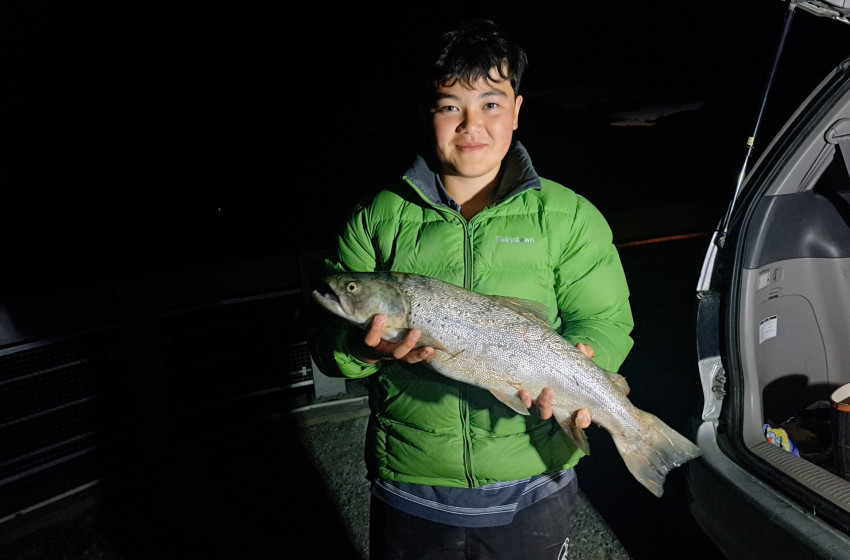 Reel Life January 2024