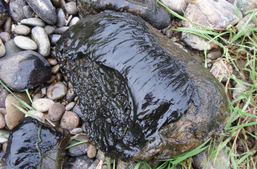 Reel Life January 2024