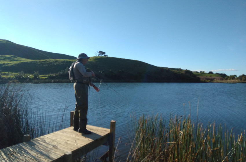 Reel Life January 2025 - Auckland Waikato