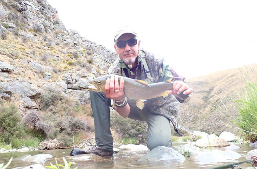 Reel Life January 2025 - Central South Island