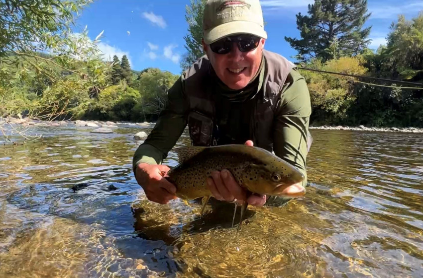 Reel Life January 2025 - Wellington