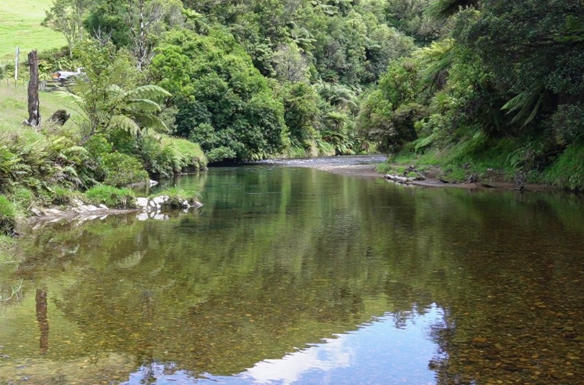 Reel Life March 2024 - Auckland/Waikato