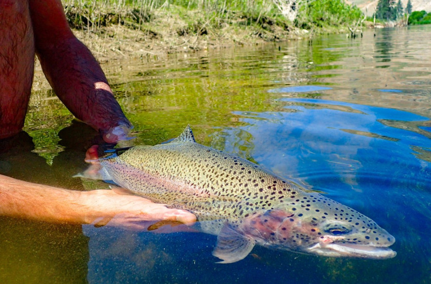 Reel Life March 2024 - Hawkes Bay