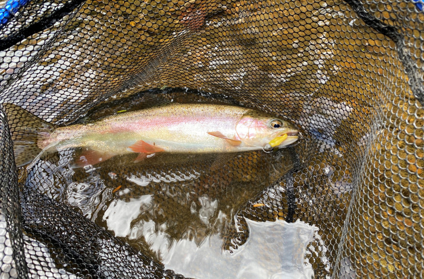 Reel Life March 2024 - Northland