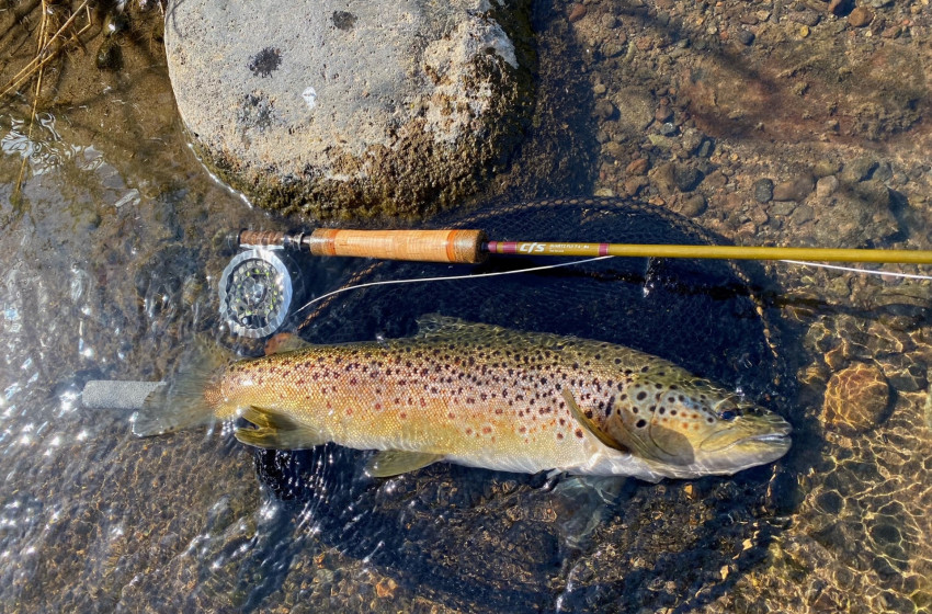 Reel Life March 2024 - Taranaki