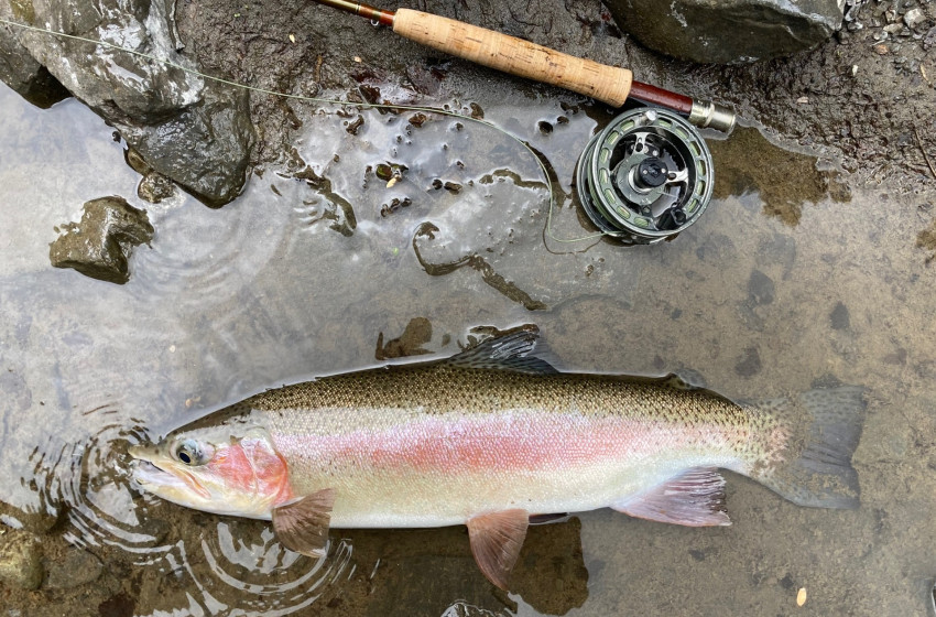 Reel Life March 2025 - Hawke's Bay