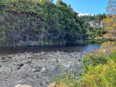 Waiwhakaiho River @ Merrilands Domain