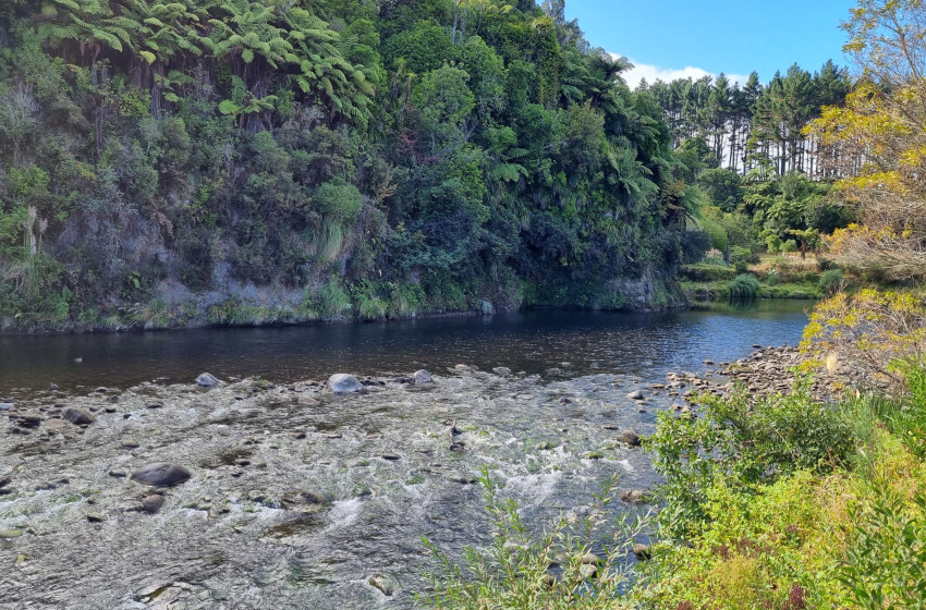Reel Life March 2025 - Taranaki