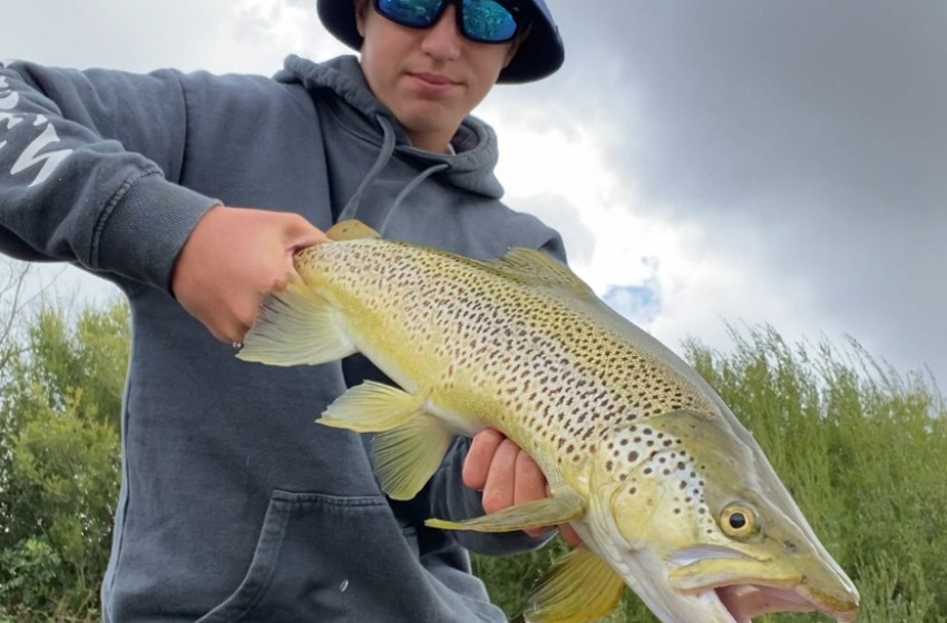 Reel Life March 2025 - Wellington